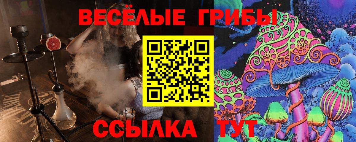 Псилоцибиновые грибы Magic Shrooms Чита